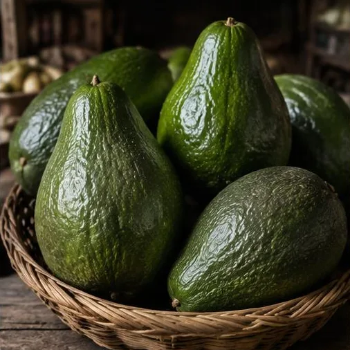 Aguacate Injerto
